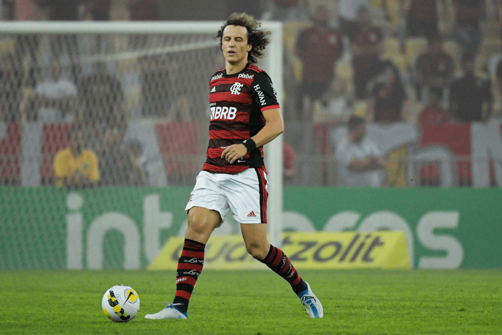 Zagueiro David Luiz, do Flamengo
