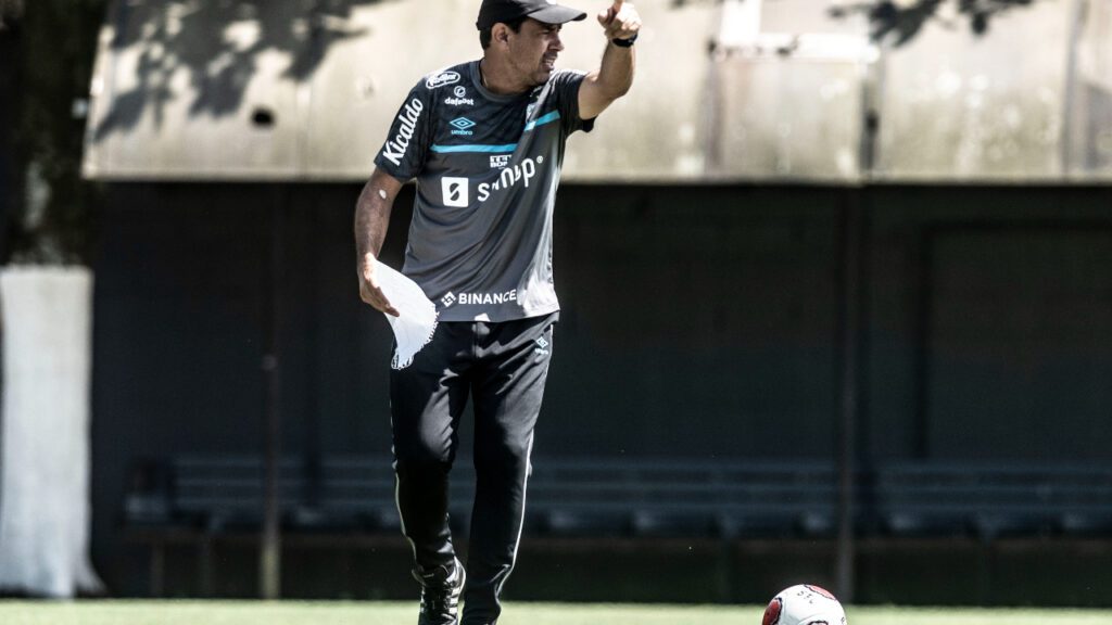 Fábio Carille, Santos