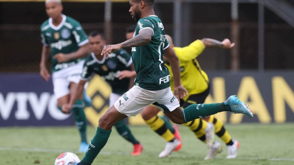 Wesley, São Bernardo x Palmeiras, Campeonato Paulista