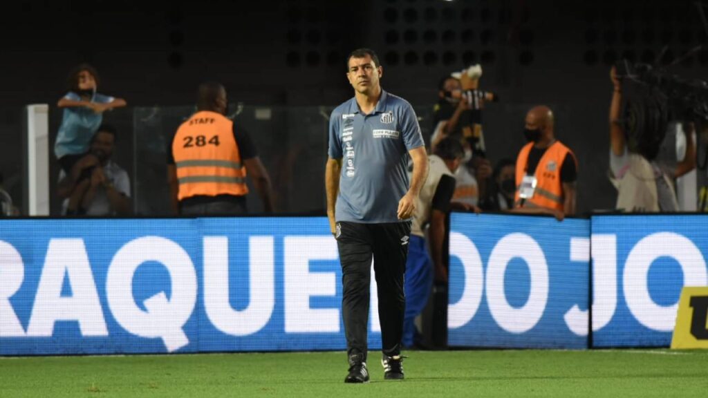 Fábio Carille, Santos