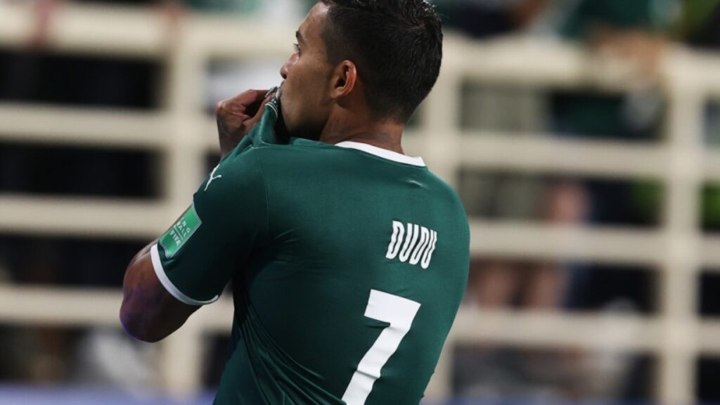 Dudu, do Palmeiras