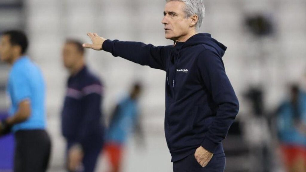 Botafogo estuda demitir Luís Castro