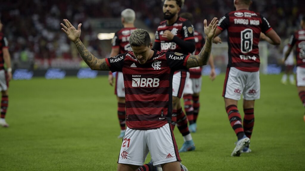 Flamengo - Pedro