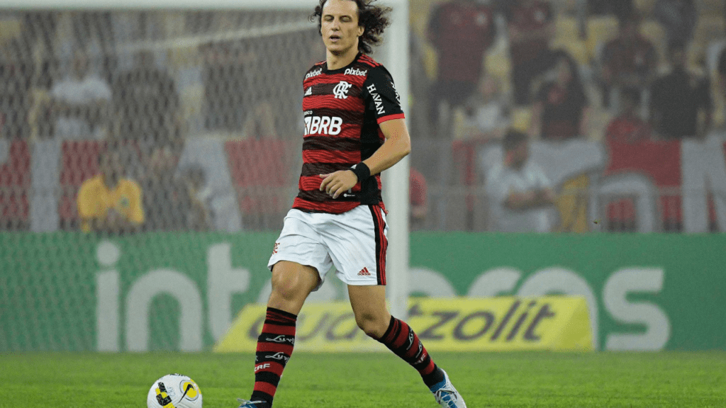 Zagueiro David Luiz, do Flamengo