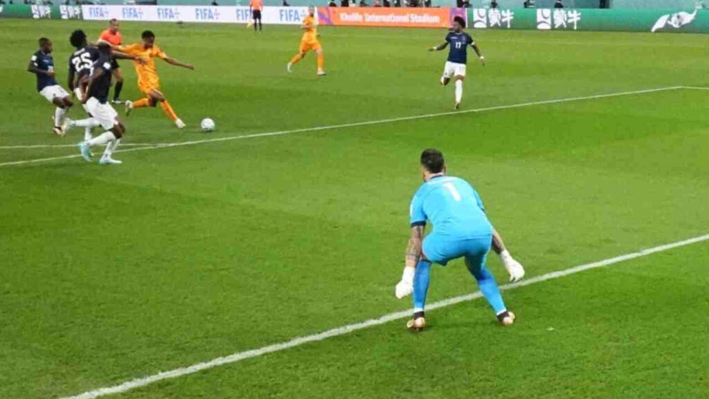 Holanda e Equador fazem jogo movimentado e empatam no Grupo A da Copa do Mundo