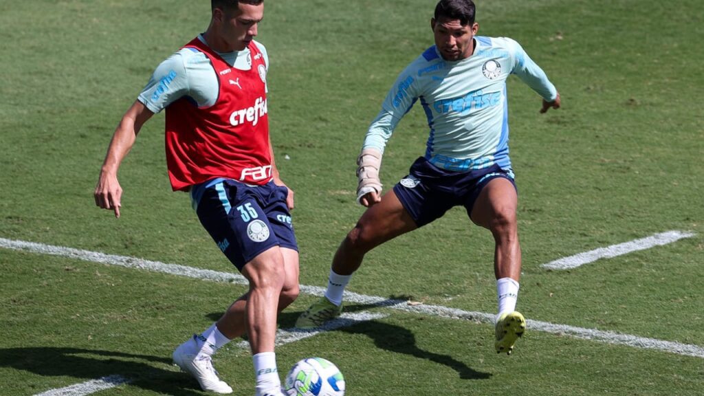 Após se recuperar de cirurgia, Rony é relacionado pelo Palmeiras para pegar o Tombense-MG