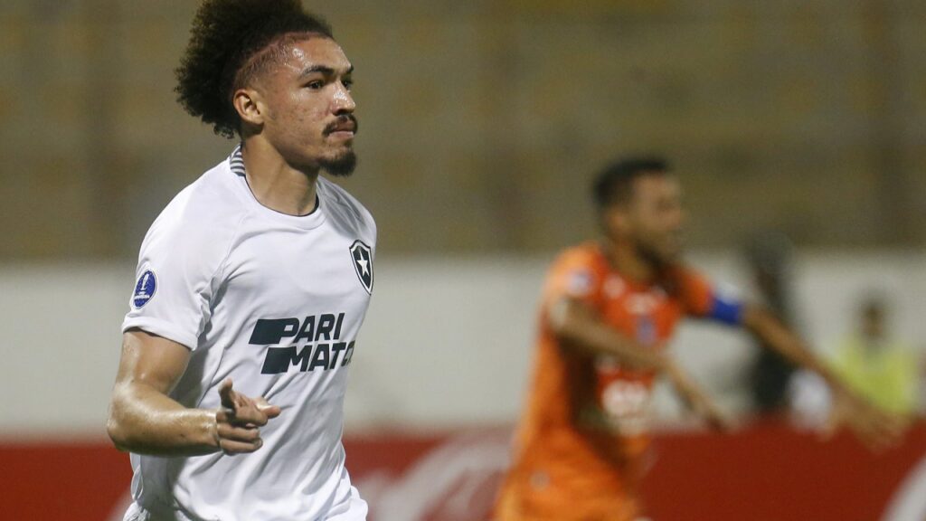 Adryelson, zagueiro do Botafogo